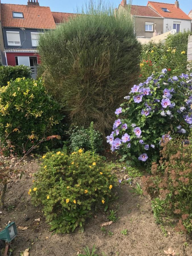 Maison Cozy Wimereux Villa Luaran gambar
